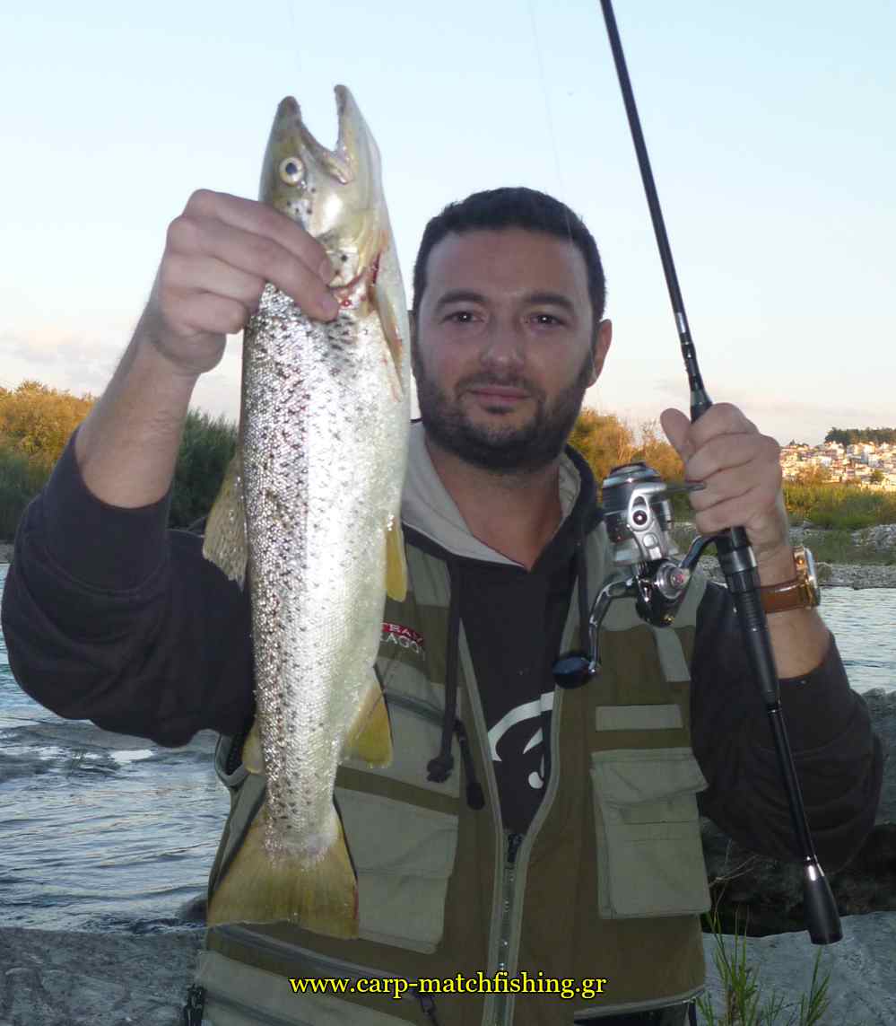 sfaltos pestrofa spinning carpmatchfishing