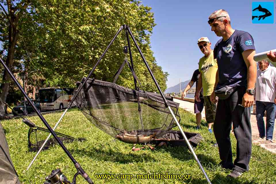 agonas carp giannena sling carp 2018 carpmatchfishing pamvotida lake