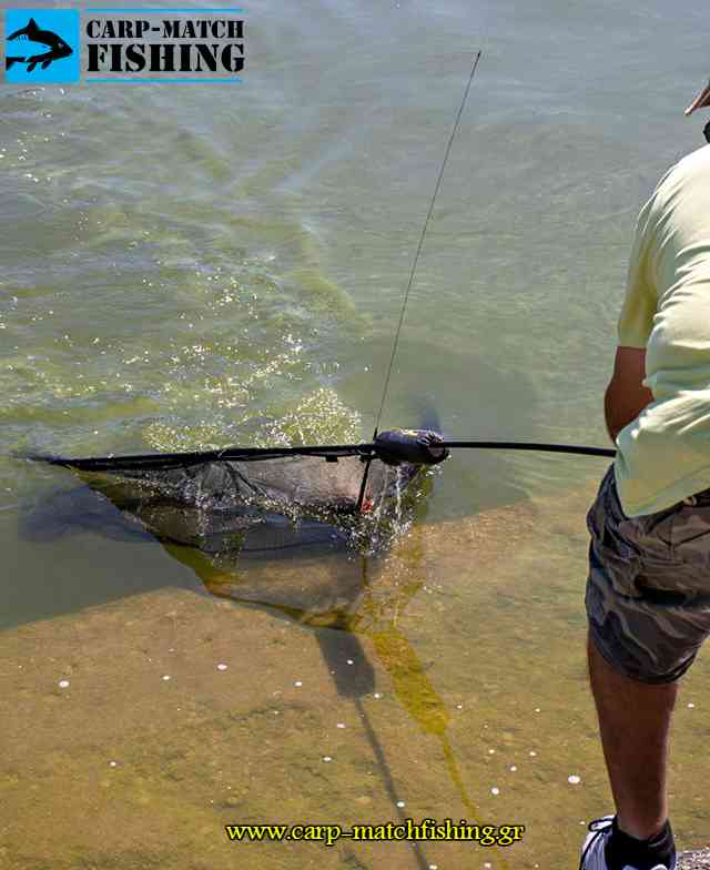 carp net agonas giannena carpfishing pamvotida lake carpmatchfishing
