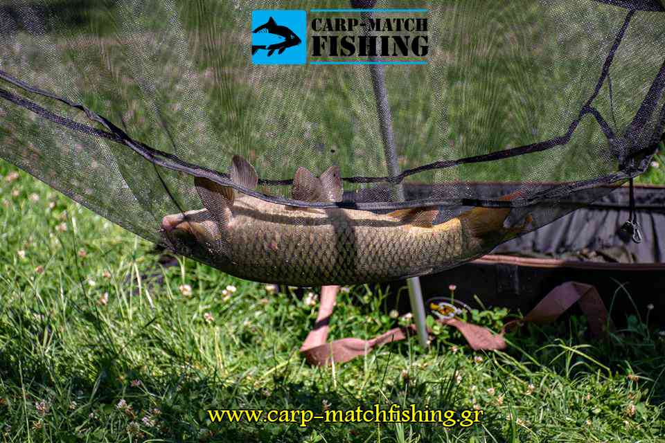carp weight sling agonas giannena carp 2018 carpmatchfishing