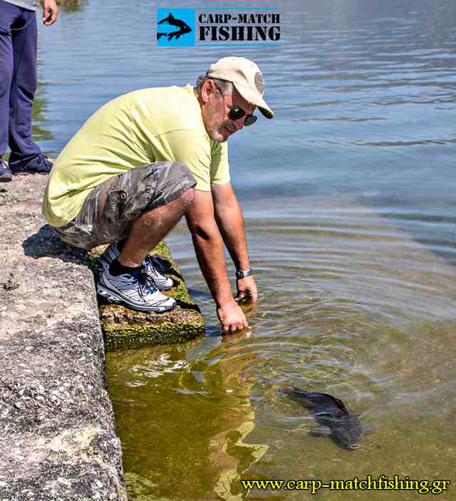 giannena agonas carp 2018 catch and release carpmatchfishing