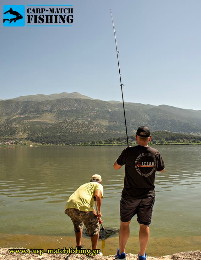 pamvotida lake agonas carpfishing netting carp carpmatchfishing