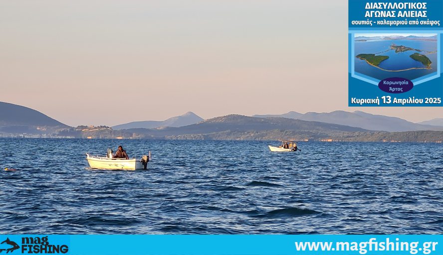 soupia agonas varka arta eging koronisia magfishing.gr