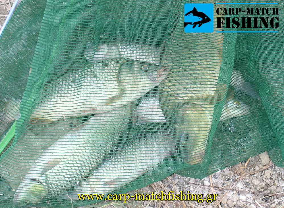 paranomi psaria kiprinon alvanoi dixtya carpmatchfishing