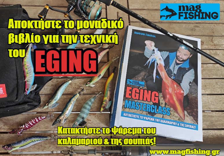 to monadiko vivlio gia tin texniki tou eging kataktiste to psarema tou kalamariou magfishing.gr