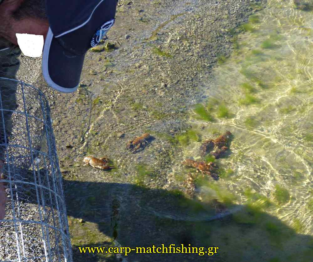 apeleutherosi-karavides-aoos-lake-carpmatchfishing