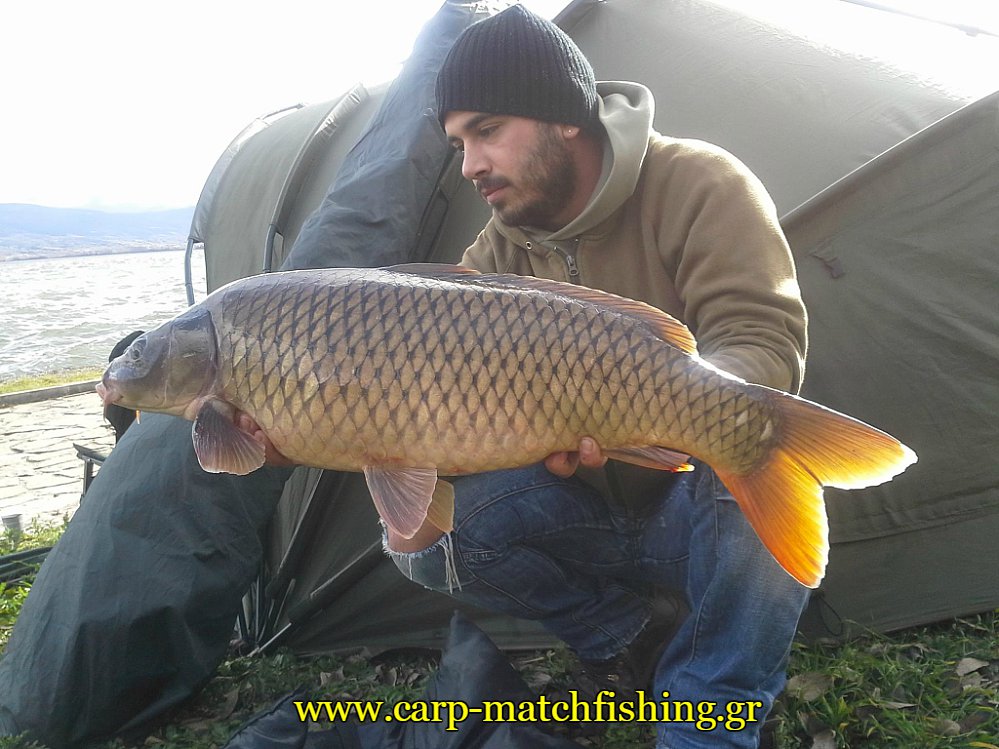 bivvy-skines-ioannina-carpmatchfishing