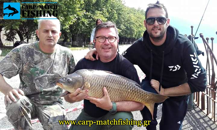 agonas carp iioannina big carp carpmatchfishing