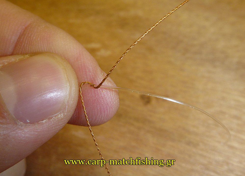 gt-knot-proti-speira-carpmatchfishing