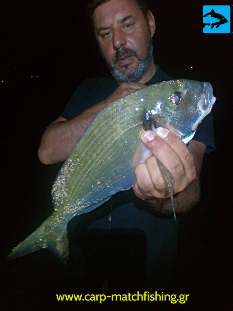 tsipoura casting carpmatchfishing