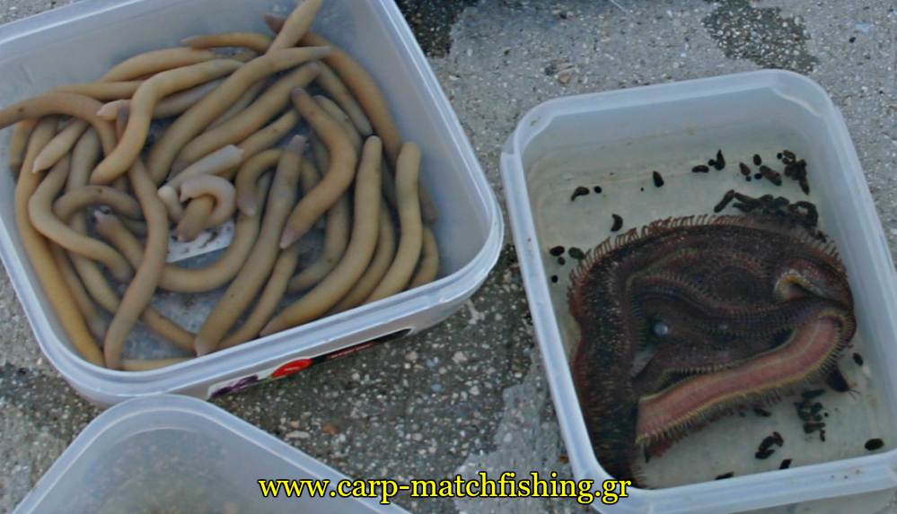 dolomata casting monodolia farao carpmatchfishing