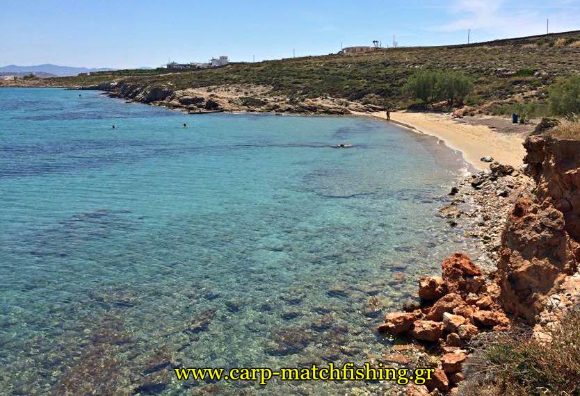 paralia akrata carpmatchfishing