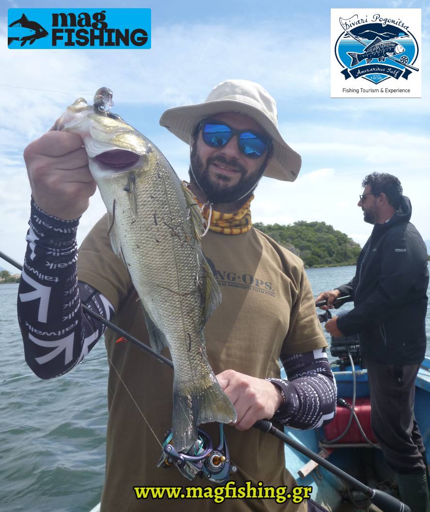 divari pogonitsa lavraki sea bass boat spinning magfishing.gr
