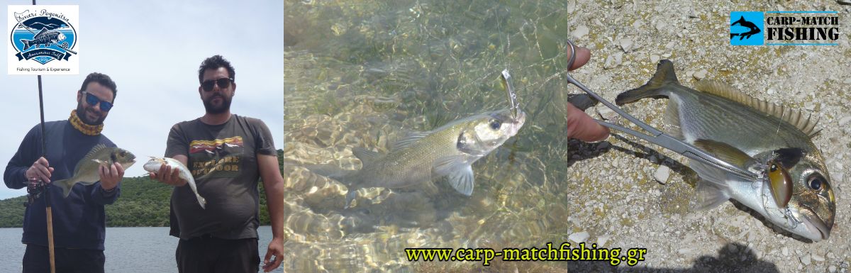divari pogonitsas taksidi gia psarema polla psaria carpmatchfishing lavrakia tsipoures