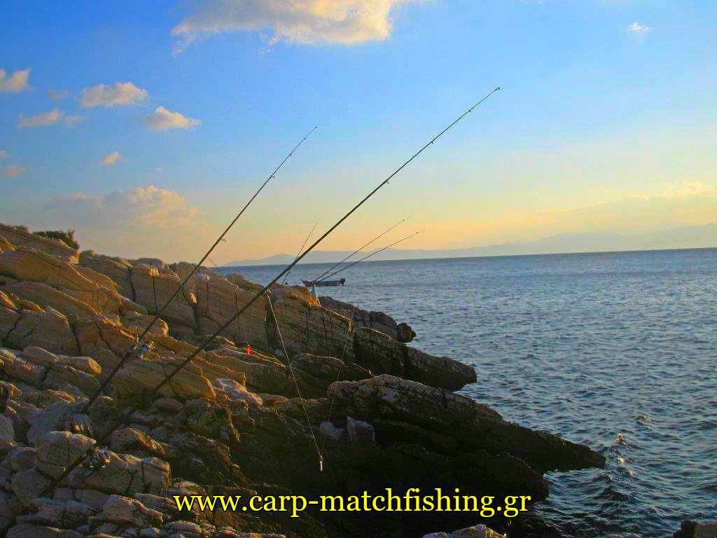 kalamia-casting-sunset-rods-carpmatchfishing