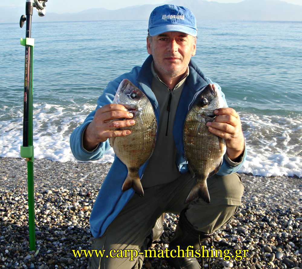 sargoi-korinthiakos-casting-2-carpmatchfishing