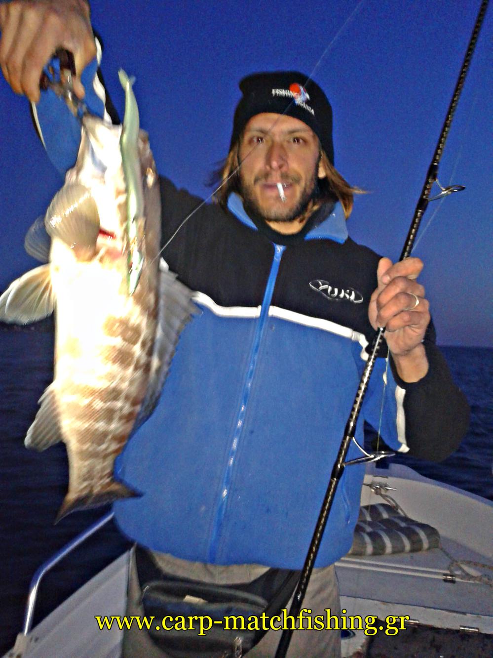 sfyrida silikoni jigging ant carpmatchfishing