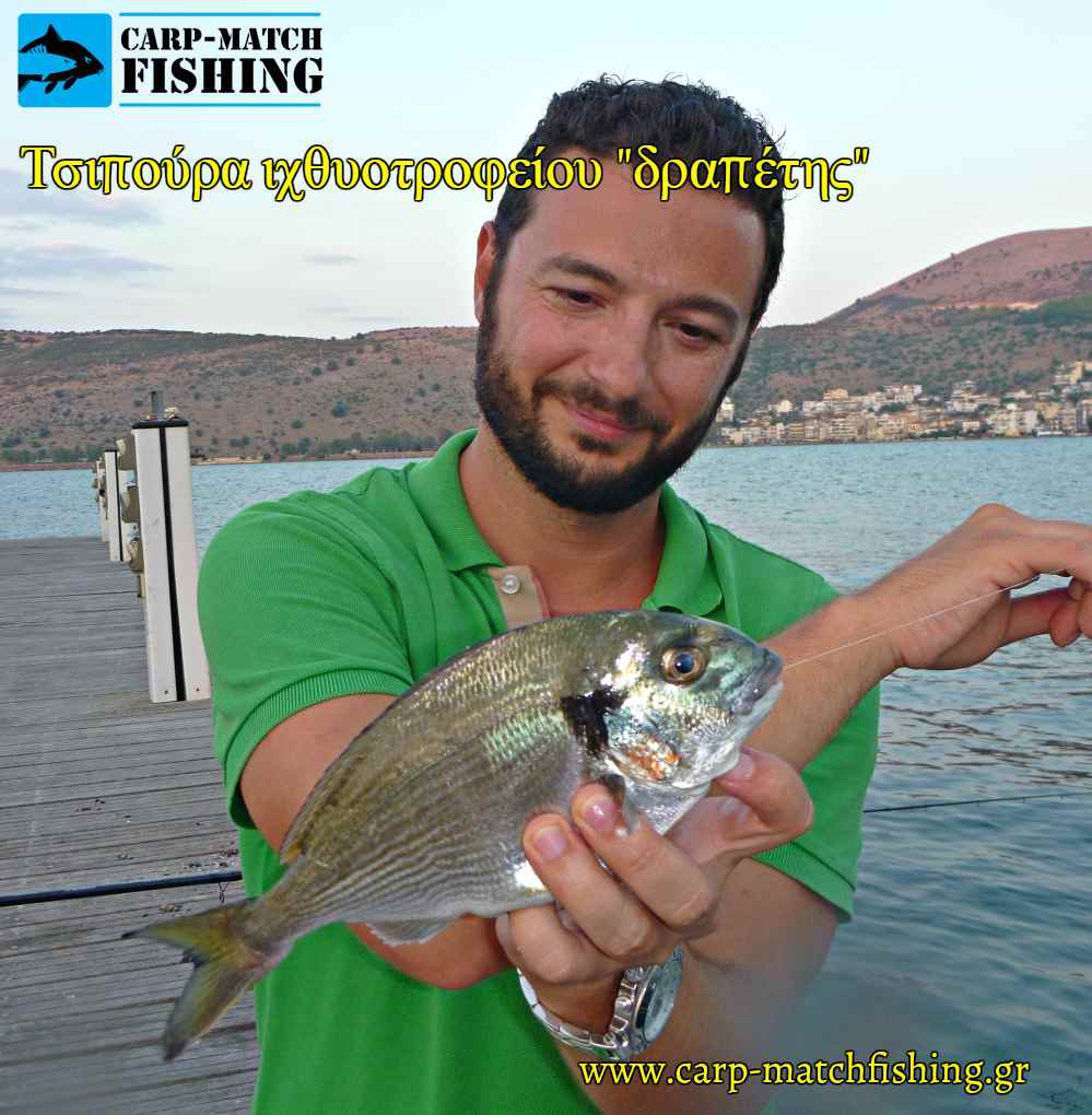 tsipoura klouvisia drapetis carpmatchfishing