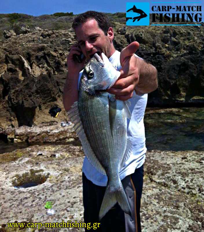 tsipoura themis agria pelagisia carpmatchfishing