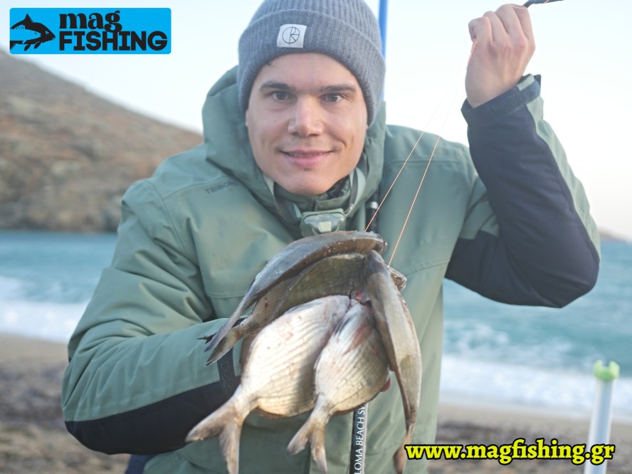 psaria sargoi surfcasting magfishing.gr