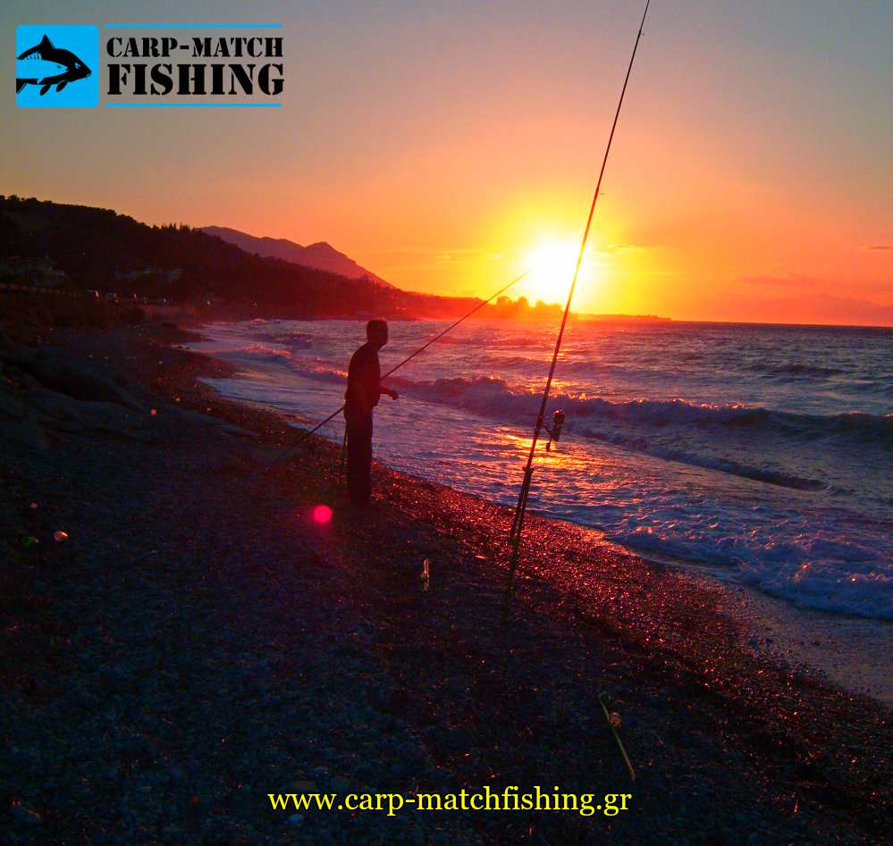 casting in sunset sargoi carpmatchfishing