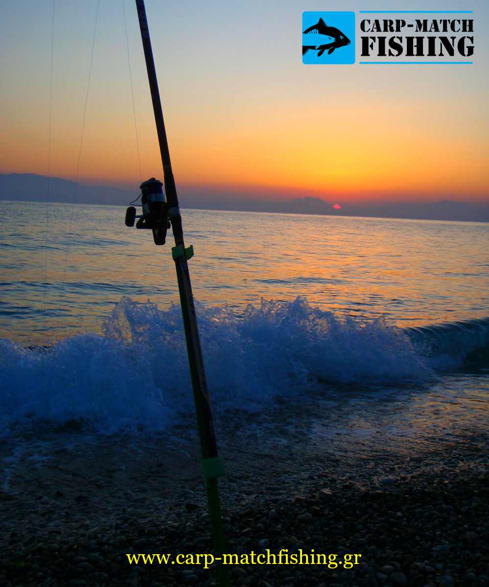 casting in sunset sargos rod carpmatchfishing