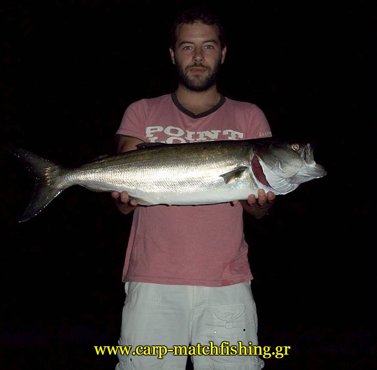 gofari-casting-carpmatchfishing