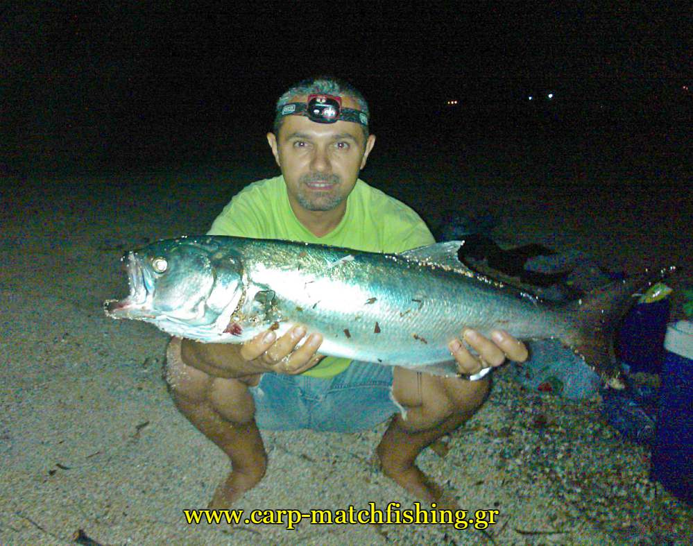gofari-casting-kos-carpmatchfishing
