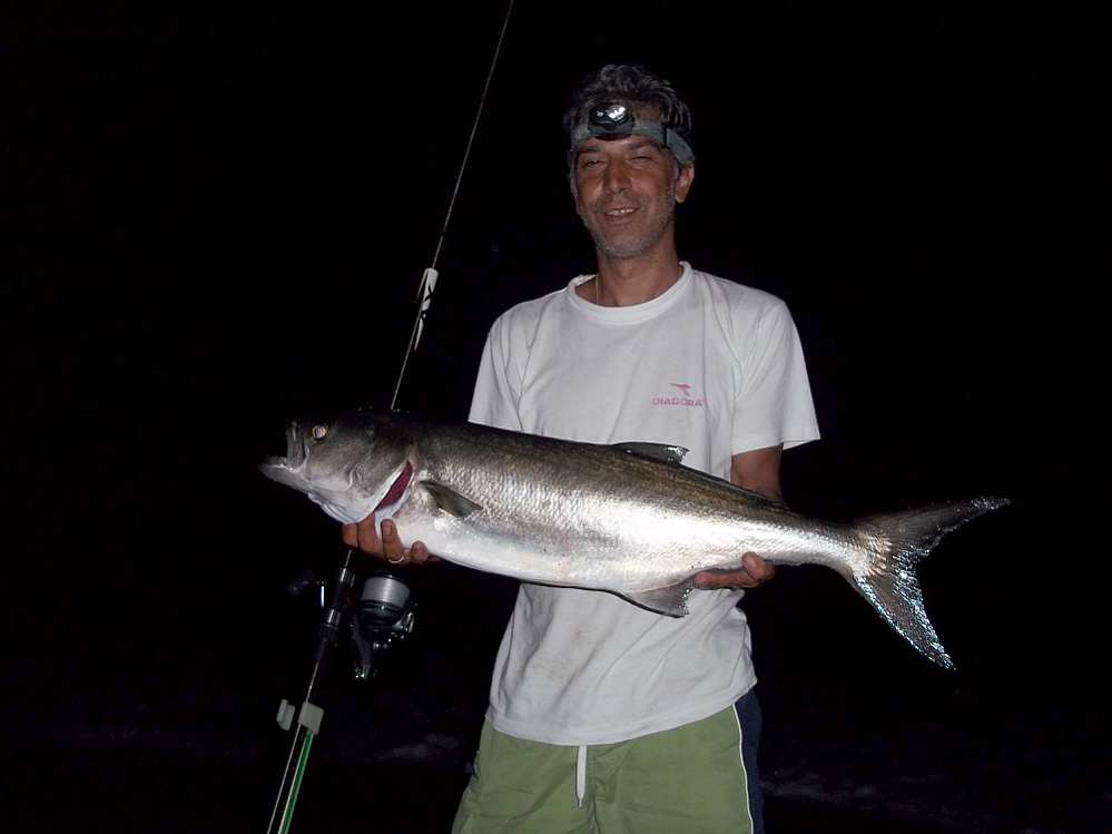 gofaria-casting-livebait-carpmatchfishing