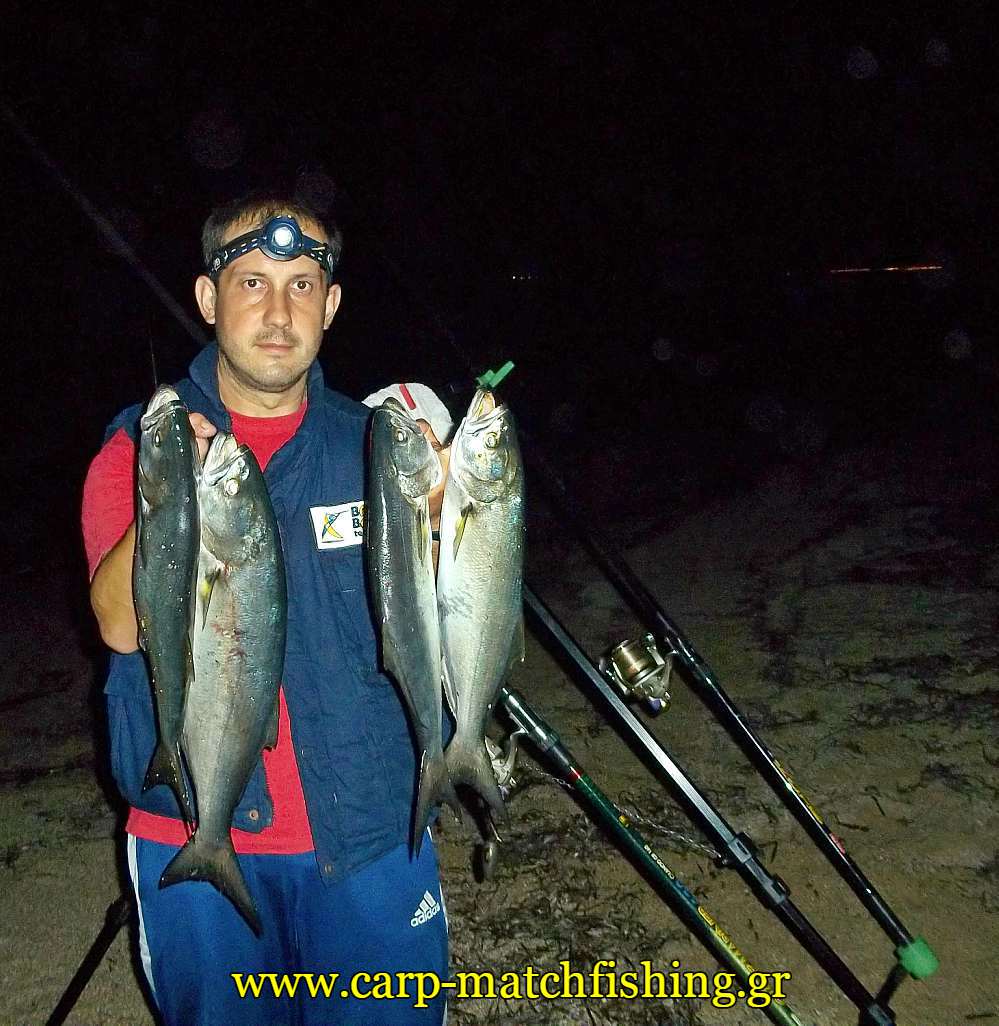 gofaria-zaras-casting-carpmatchfishing