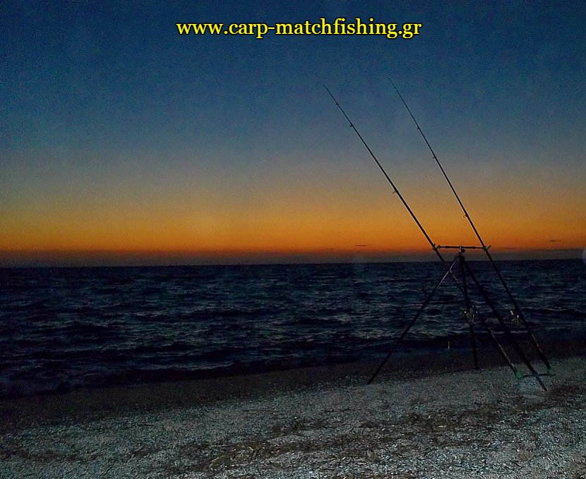 sunset-gofaria-casting-carpmatchfishing