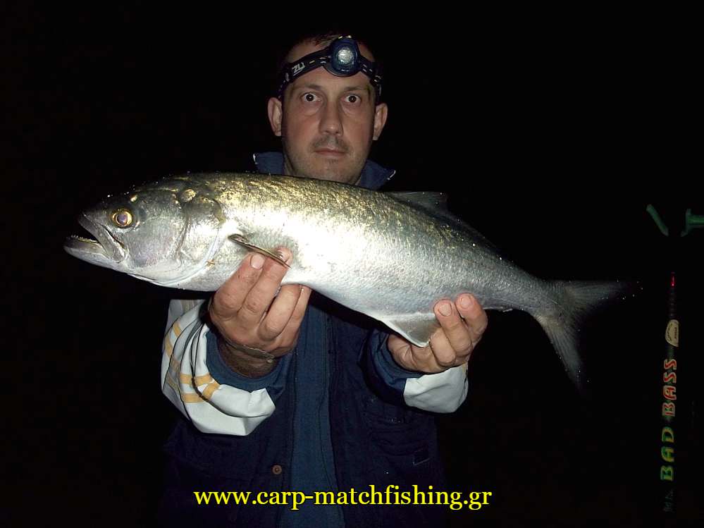 zaras-gofari-casting-carpmatchfishing