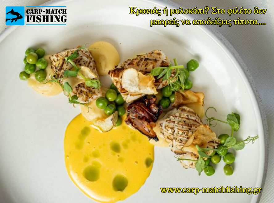fileto kranios carpmatchfishing