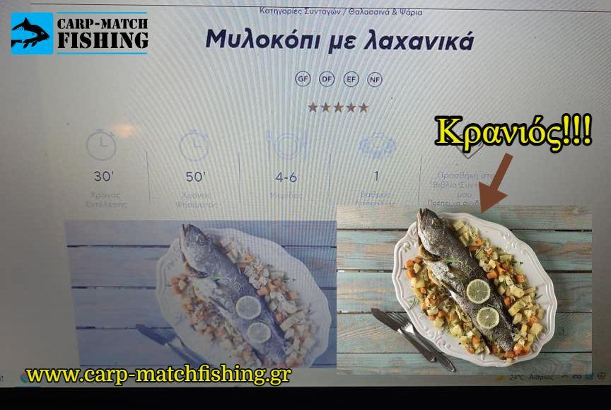 kranios anti gia milokopi apati carpmatchfishing