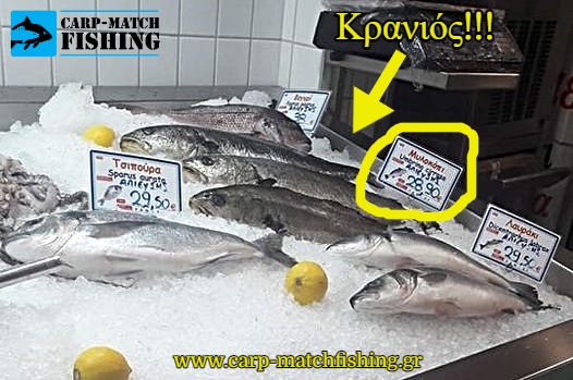 kranios anti mylokopi apati carpmatchfishing