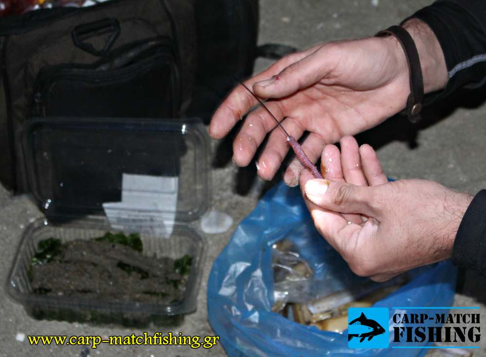 doloma mourmoura mauro thikarisio carpmatchfishing