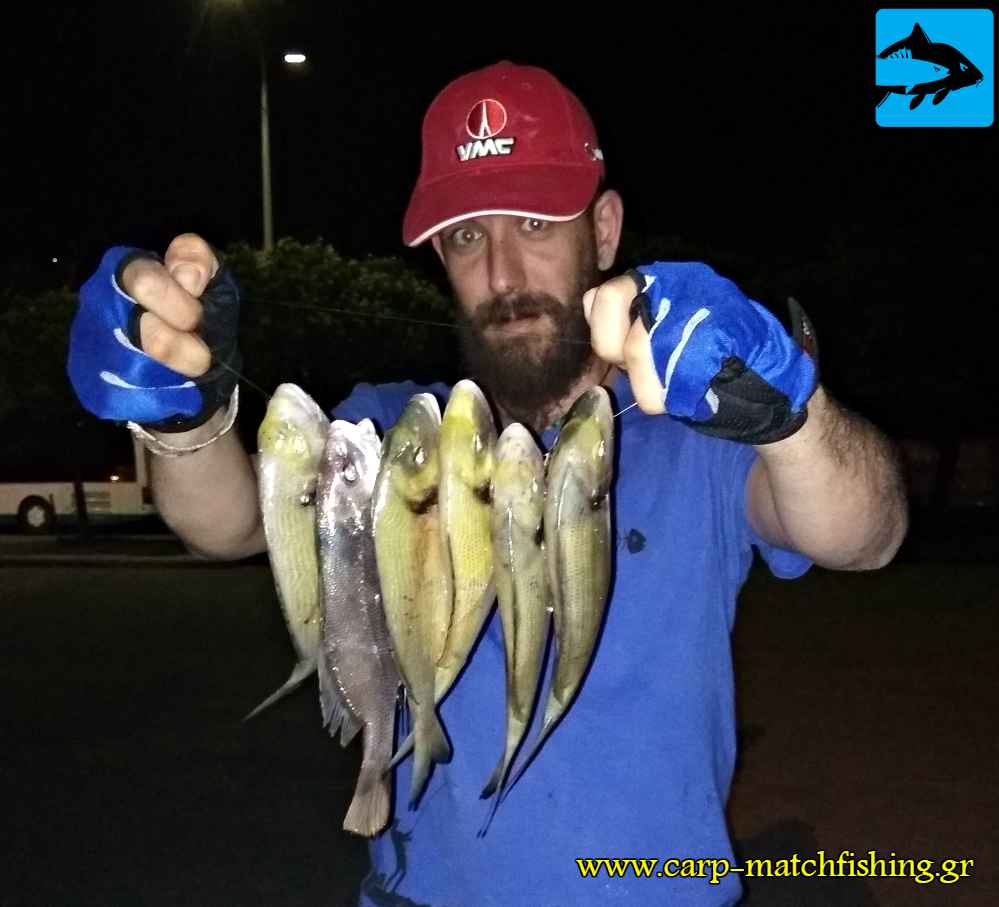 casting mourmoures tsipoures carpmatchfishing