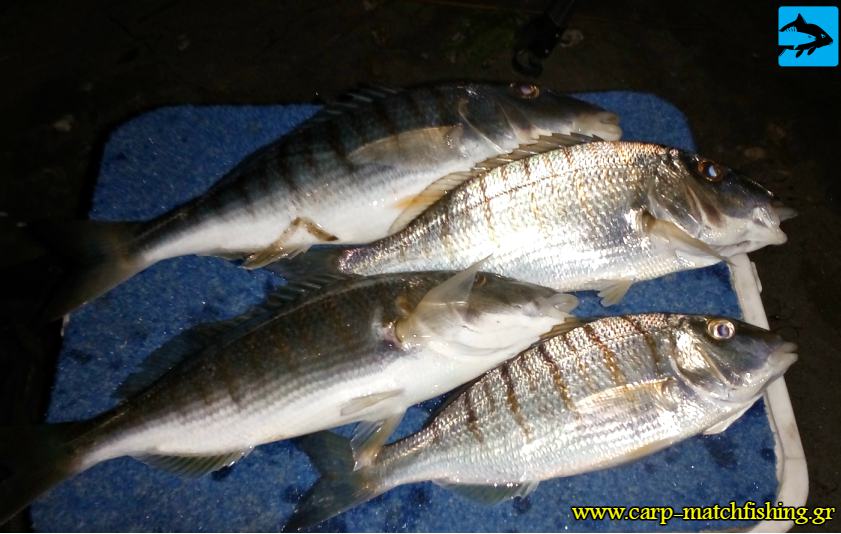mourmoures casting carpmatchfishing
