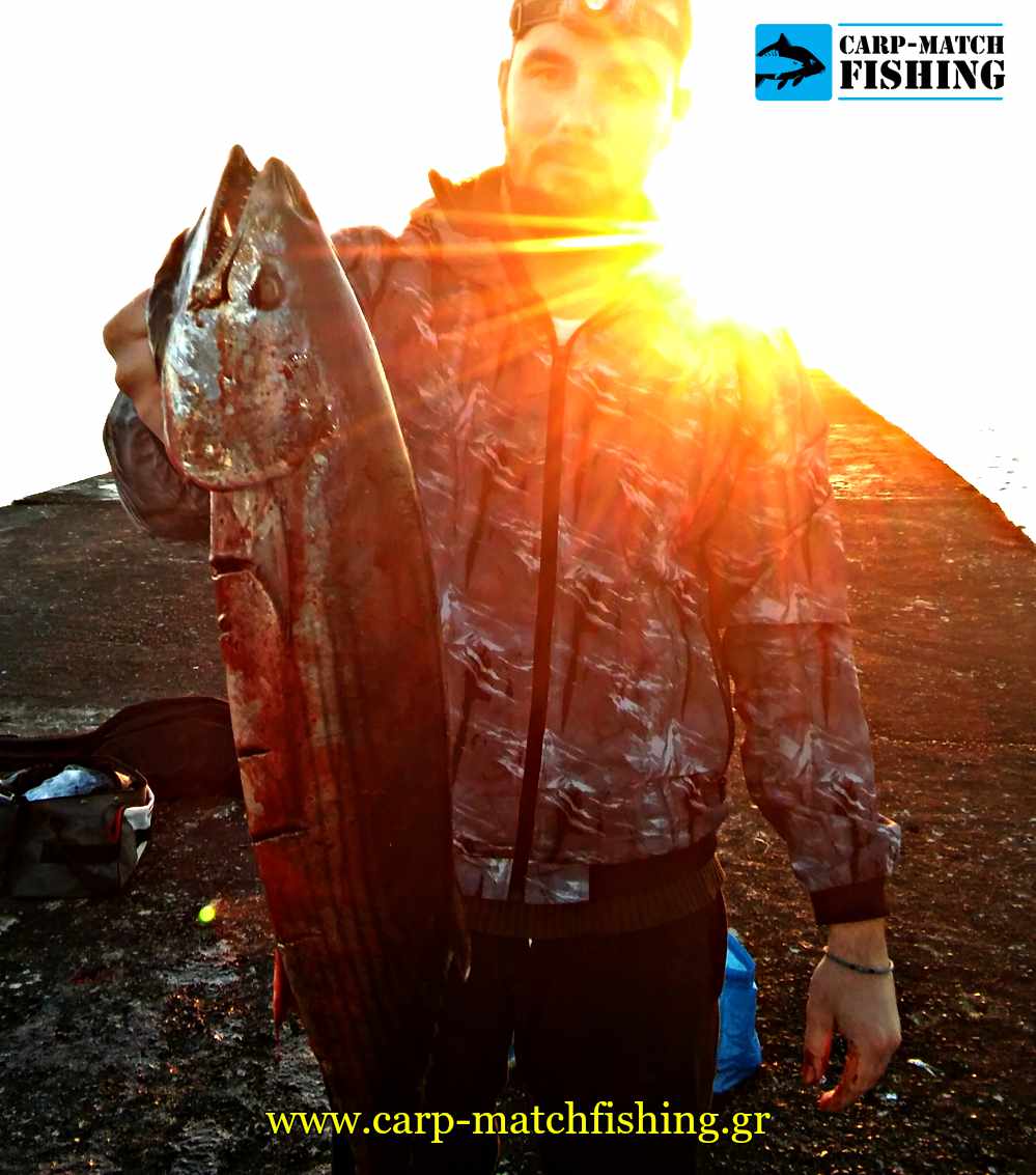 palamida casting pap big fish carpmatchfishing