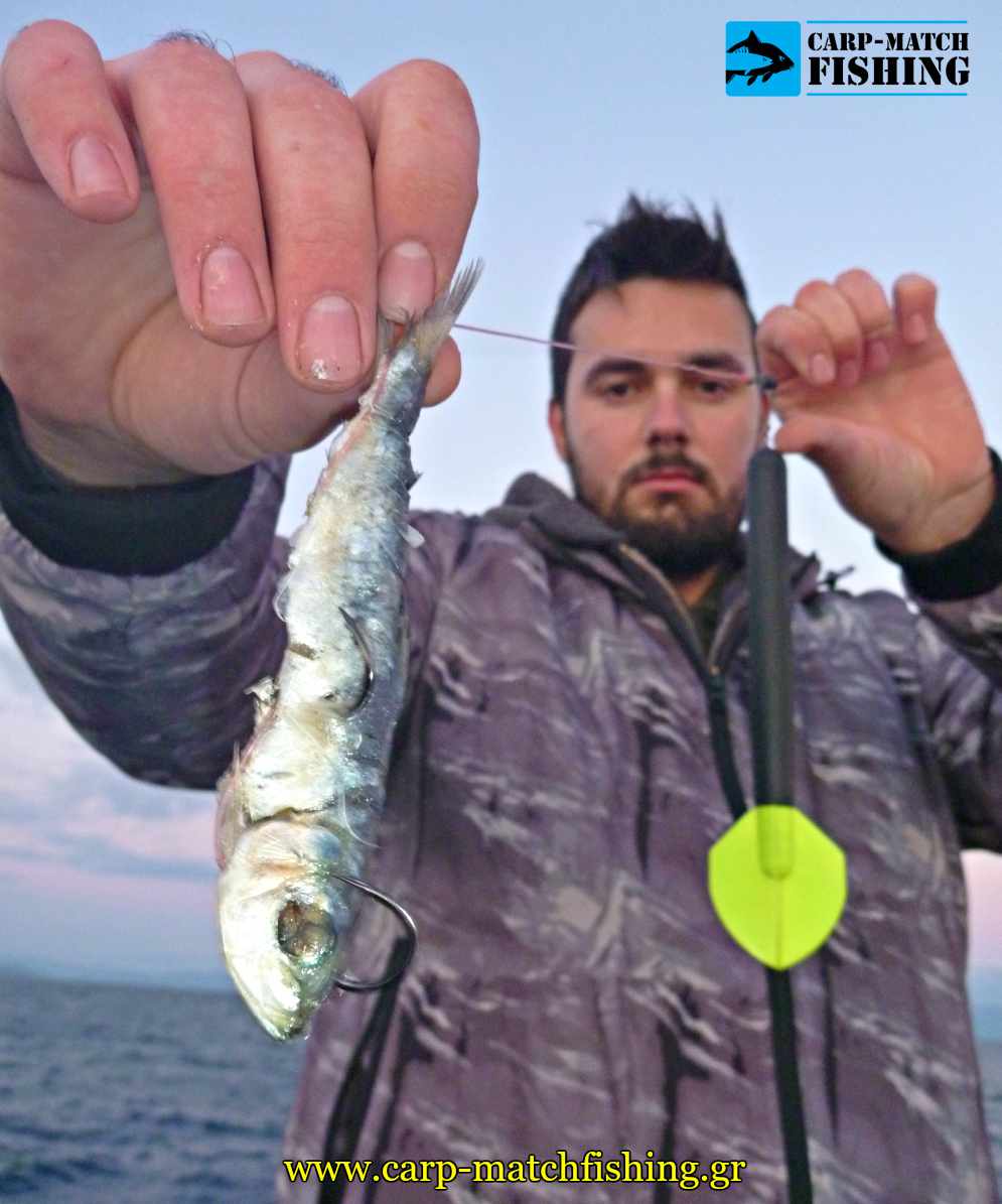 psarema palamidas dolomeni armatosia casting carpmatchfishing