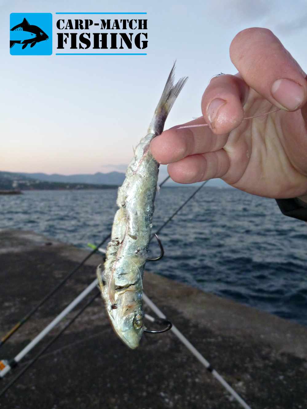 psarema palamidas dolomeno psarodoli carpmatchfishing