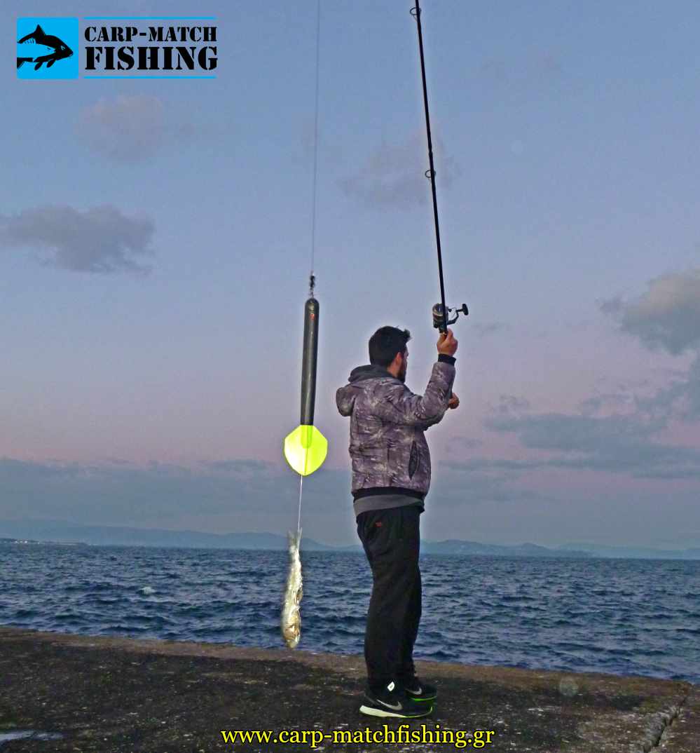 psarema palamidas predator float voli carpmatchfishing