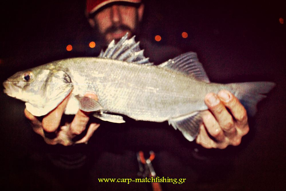 lavraki 2 casting psareytiko imerologio carpmatchfishing