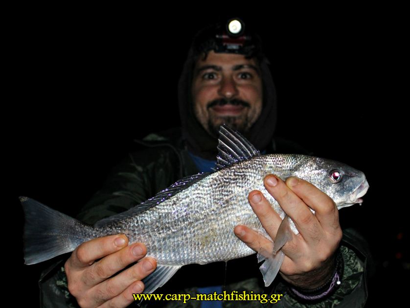 sikios casting carpmatchfishing