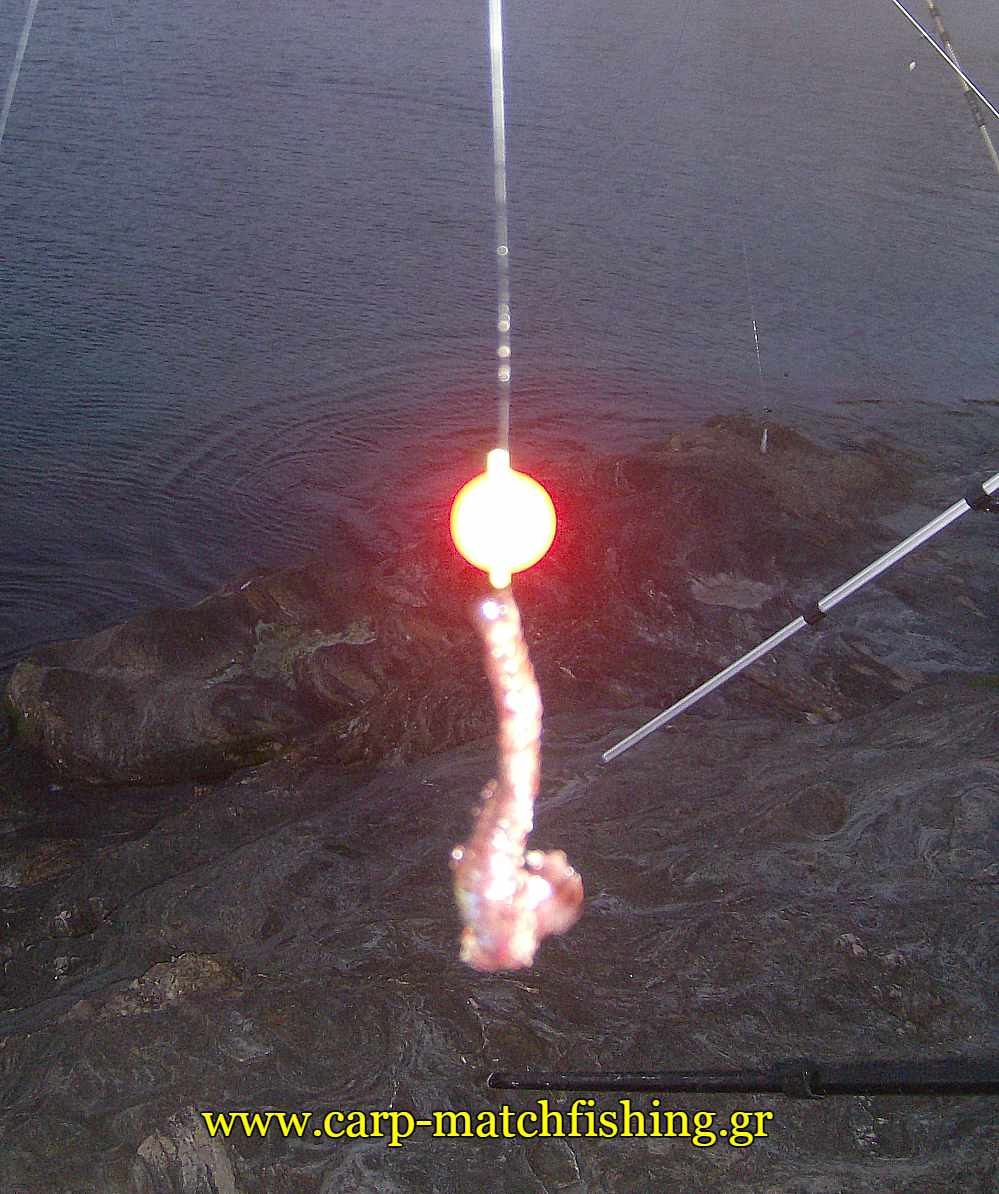 float-surfcasting-bait-sargos-carpmatchfishing