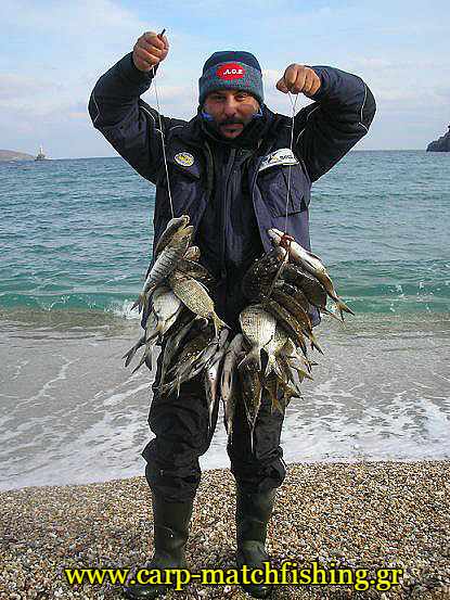 sargoi-surfcasting-carpmatchfishing