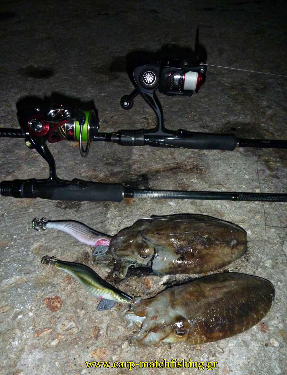 eging-jigskinz-2-soupies-cuttlefish-rods-carpmatchfishing