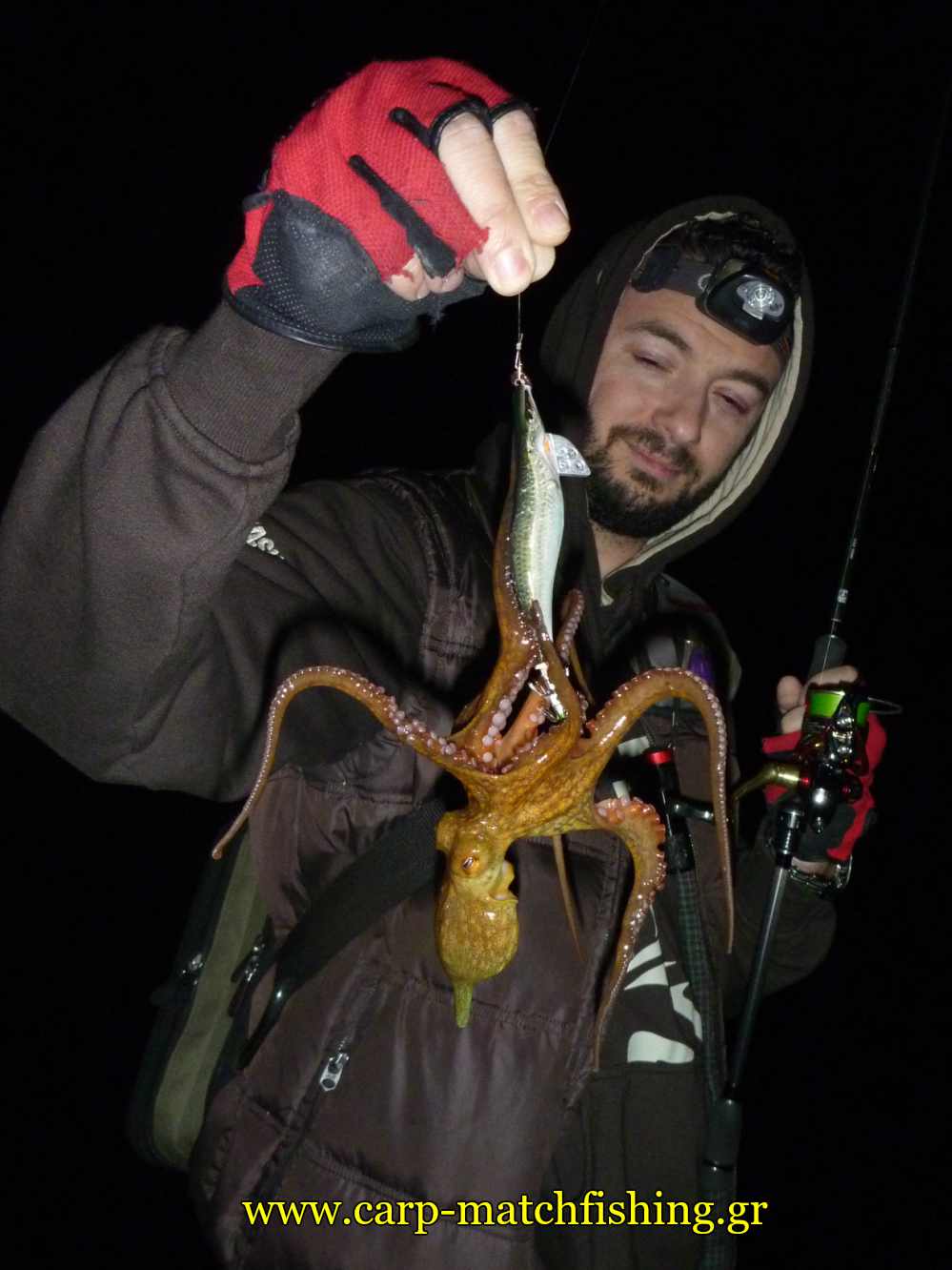 eging-sardela-jigskinz-xtapodi-carpmatchfishing
