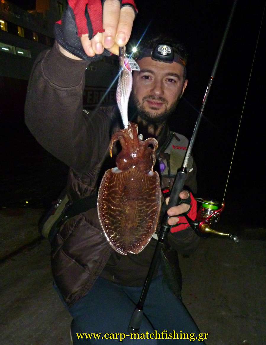 eging-soupia-cuttlefish-mullet-carpmatchfishing