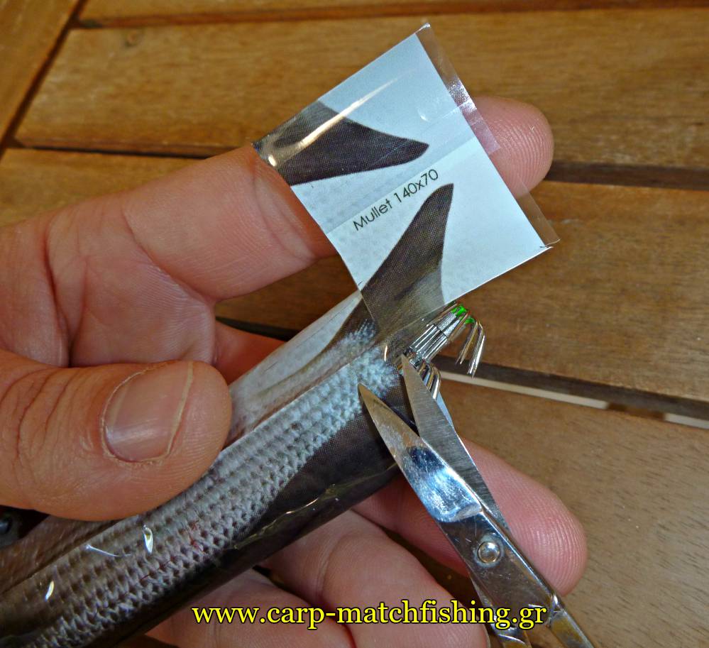 jigskinz-mullet-kopsaimo-arpadia-carpmatchfishing